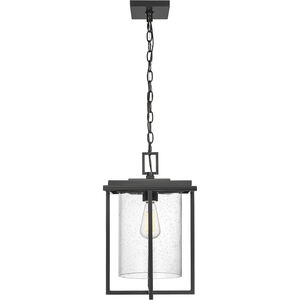 Adair 1 Light 11 inch Powder Coated Black Outdoor Hanging Lantern